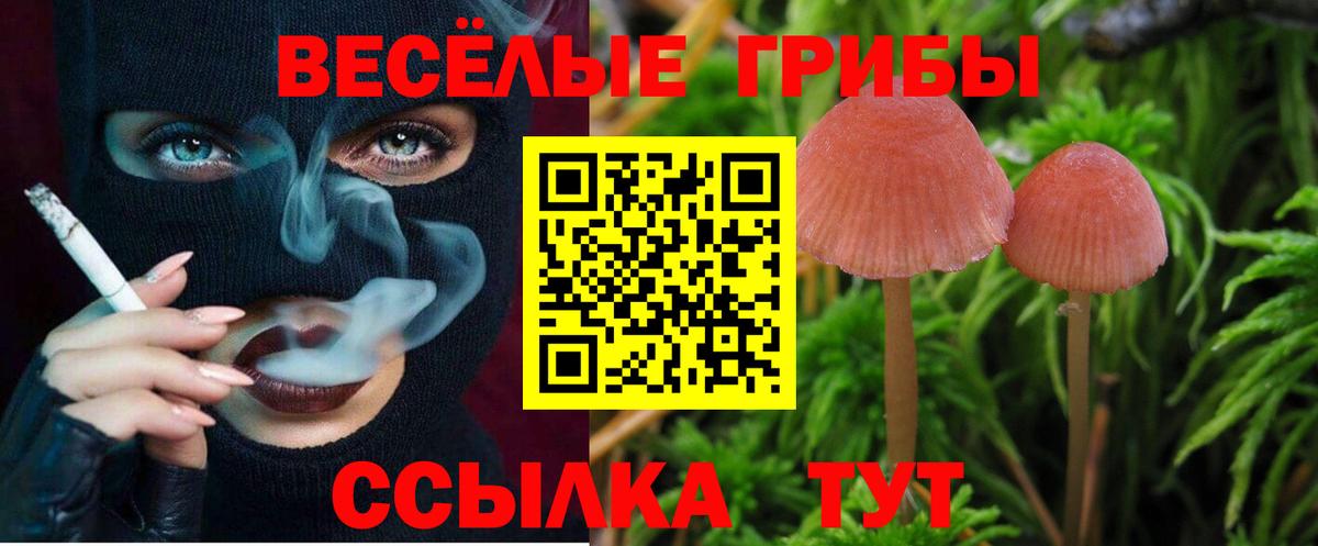 Борисоглебск  Галлюциногенные грибы Magic Shrooms  Вход с VPN 